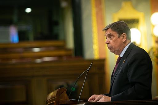 El ministro de Agricultura, Pesca y Alimentación, Luis Planas, en el Pleno del Congreso