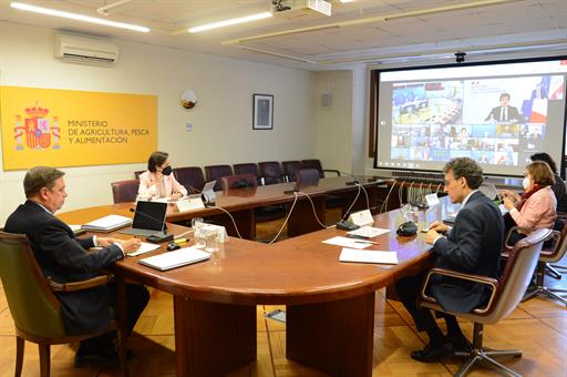 El ministro Planas y su equipo durante la reunión celebrada por videoconferencia