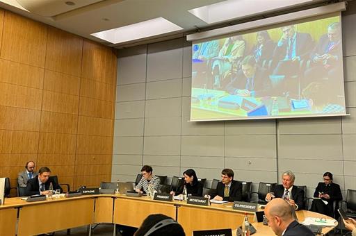 El ministro Luis Planas durante su intervención en la reunión ministerial del Comité de Agricultura de la OCDE