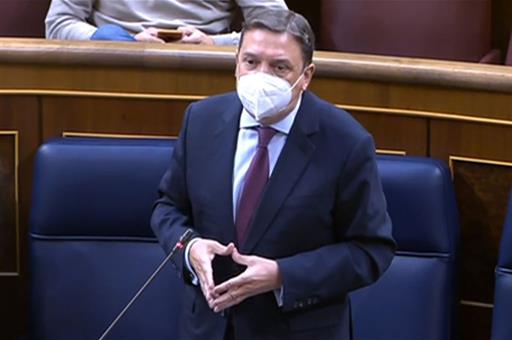 El ministro Planas durante su intervención