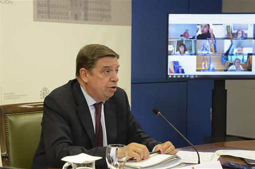 El ministro de Agricultura, Pesca y Alimentación, Luis Planas, durante su intervención en la Conferencia Sectorial