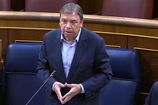 El ministro Planas durante su intervención en la sesión de control en el Congreso de los Diputados