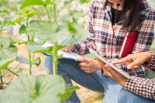 Mujer agricultora