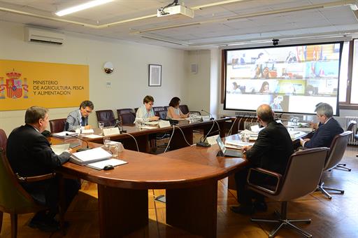El ministro Luis Planas ha presidido las Conferencias Sectoriales, celebradas por videoconferencia