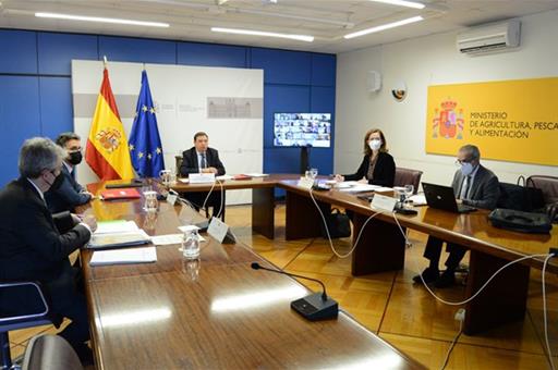 Luis Planas inaugura por videoconferencia la reunión del Consejo Asesor de la Agencia de Información y Control Alimentarios