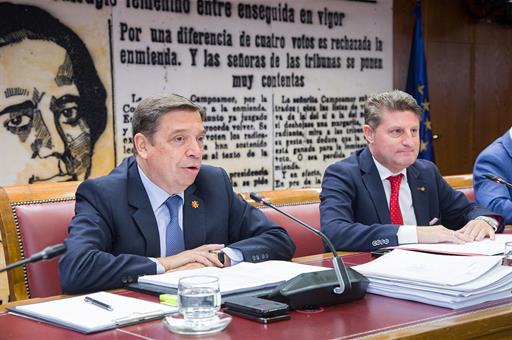 Luis Planas durante su intervención en el Senado