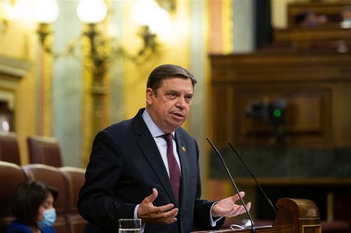 Luis Planas durante la sesión de control celebrada en el Congreso