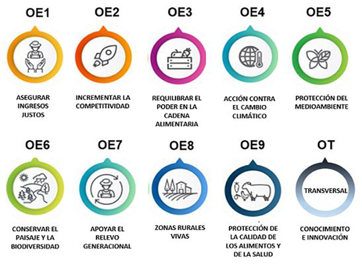 Objetivos específicos de la PAC 2023 en España