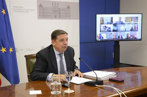 El ministro de Agricultura, Pesca y Alimentación, Luis Planas, durante la videoconferencia