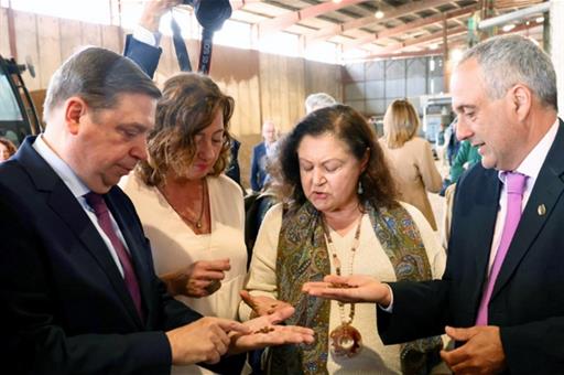 El ministro de Agricultura, Pesca y Alimentación, Luis Planas, durante su visita