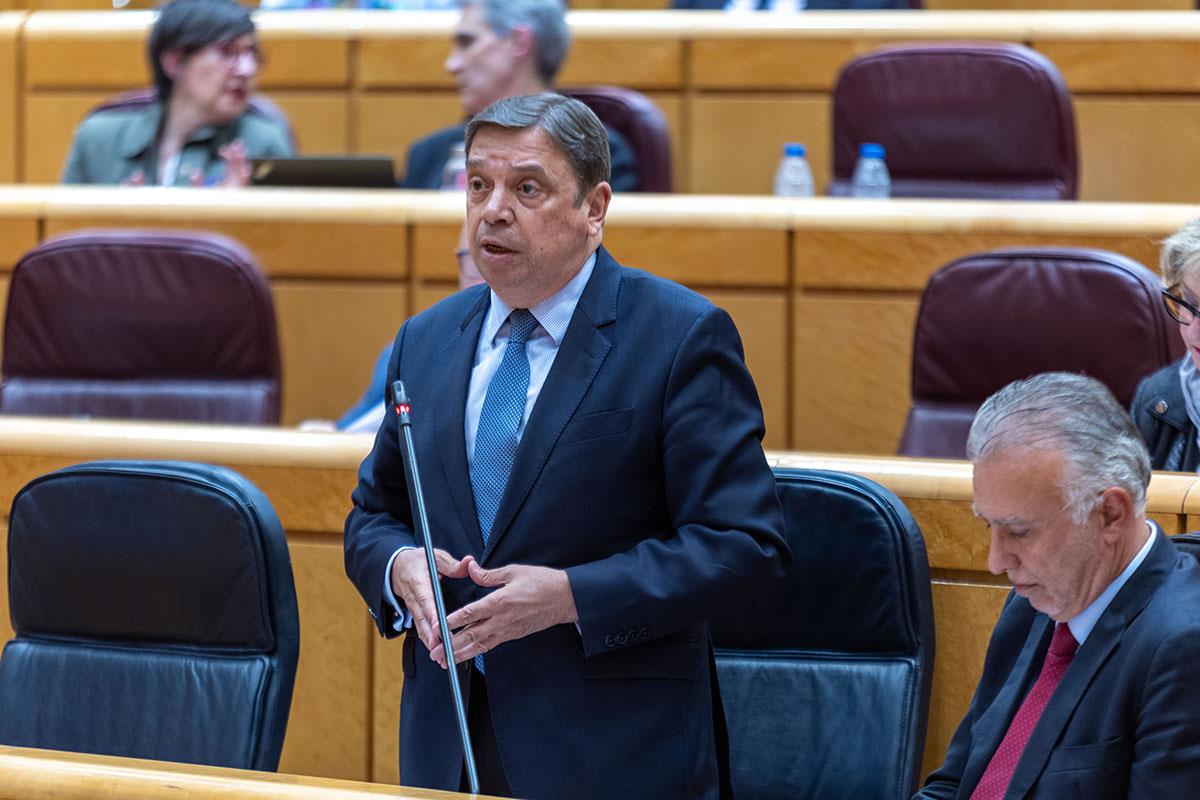 El ministro de Agricultura, Pesca y Alimentación, Luis Planas, durante su intervención en el pleno del Senado