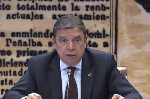 El ministro de Agricultura, Pesca y Alimentación, Luis Planas, durante su comparencia en la Comisión de Pesca del Senado.