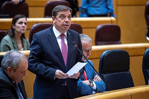 El ministro de Agricultura, Pesca y Alimentación, Luis Planas, durante su intervención en el pleno del Senado