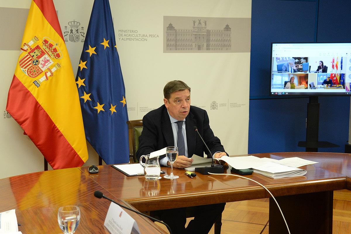 Imagen del artículo La Conferencia Sectorial de Agricultura acuerda el reparto de 45,8 millones entre las comunidades autónomas para promocionar el vino en terceros países