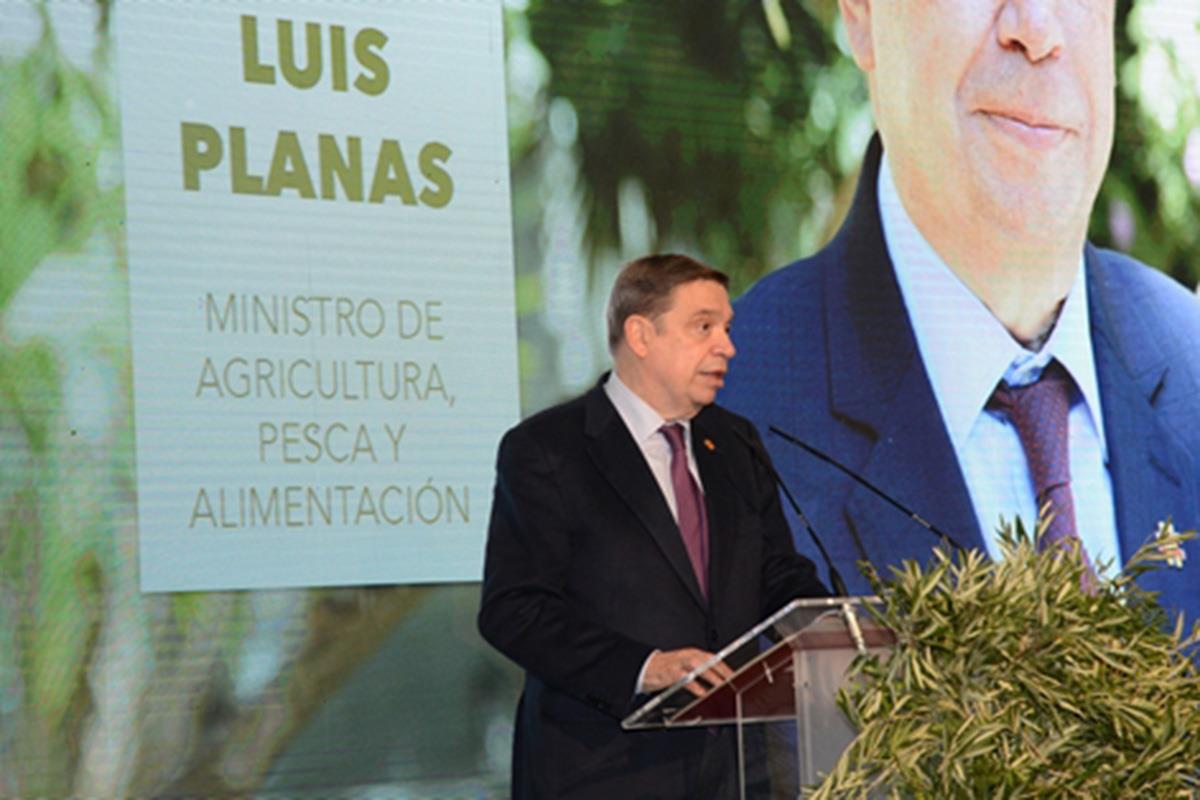 El ministro de Agricultura, Pesca y Alimentación, Luis Planas, interviene en la gala de entrega de los premios Evooleum.