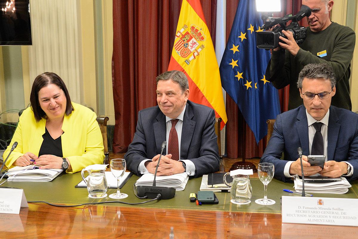 El ministro de Agricultura, Pesca y Alimentación, Luis Planas, durante la reunión de la Conferencia Sectorial de Agricultura y D