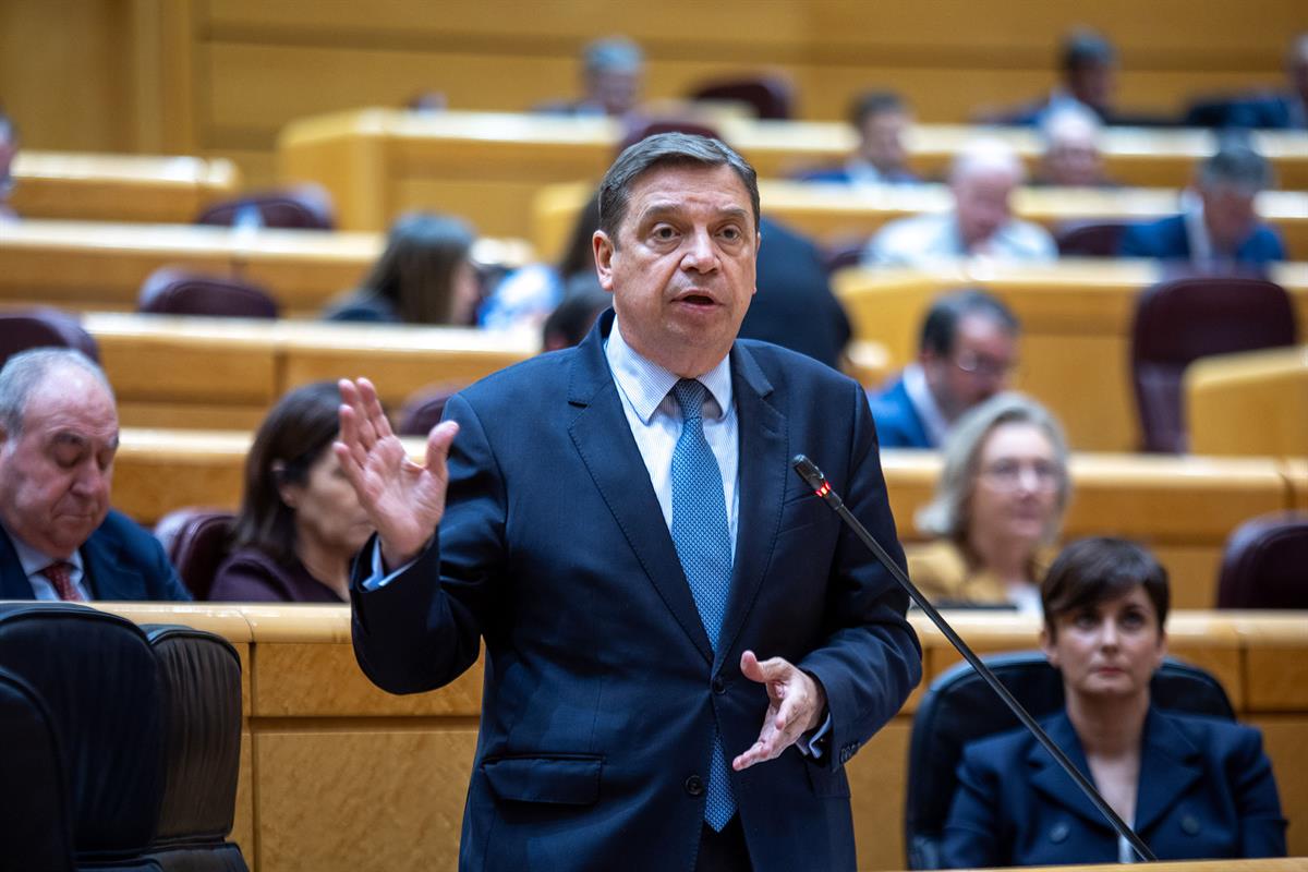 Luis Planas durante su intervención en el Senado