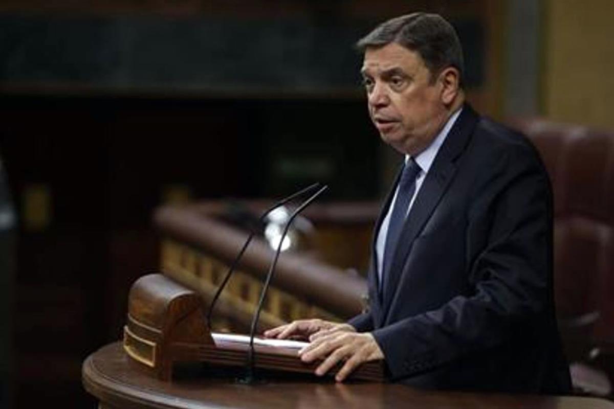 El ministro de Agricultura, Pesca y Alimentación, Luis Planas, durante su intervención en el Congreso de los Diputados