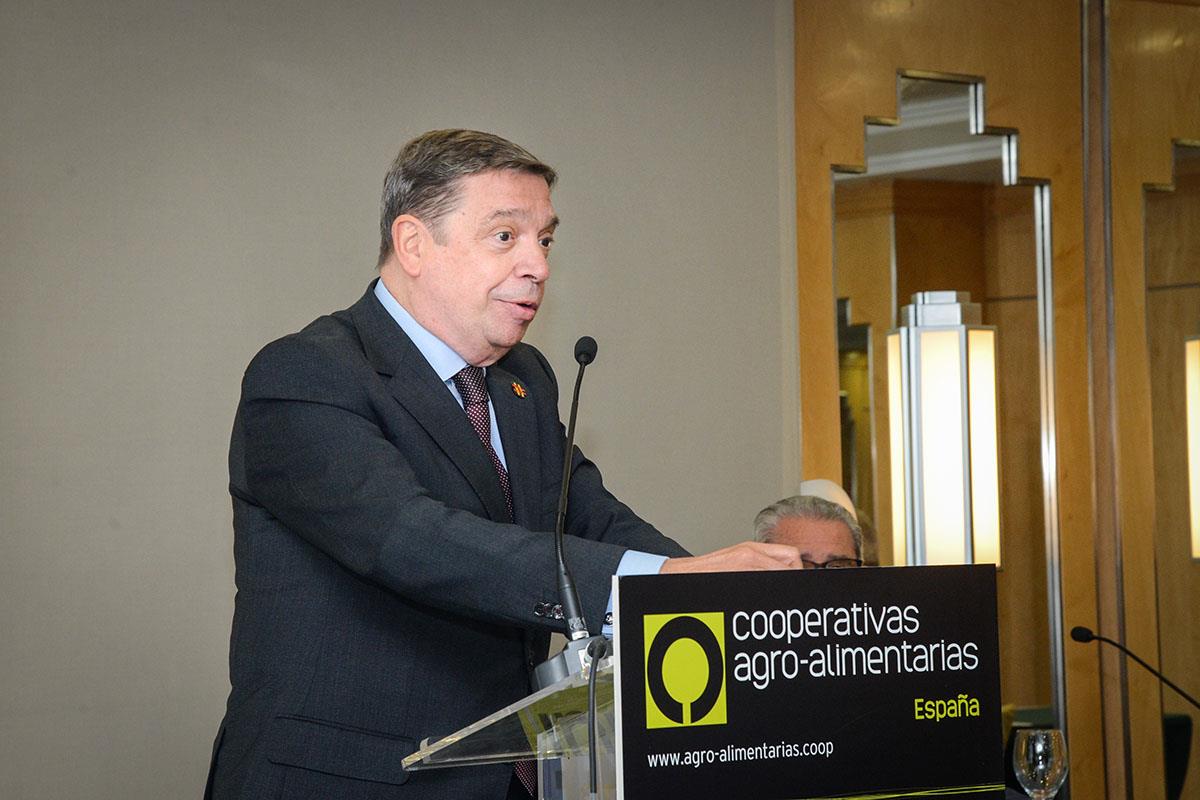 El ministro de Agricultura, Pesca y Alimentación, Luis Planas, durante su intervención 