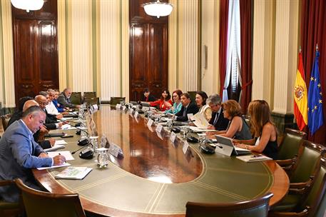 El ministro de Agricultura, Pesca y Alimentación, Luis Planas, preside el Consejo Agrario en la sede del Ministerio.