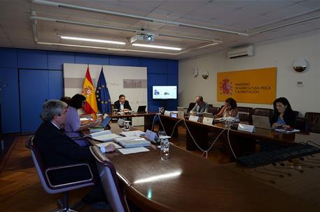 El ministro de Agricultura, Pesca y Alimentación, Luis Planas, preside de forma telemática la Conferencia Sectorial