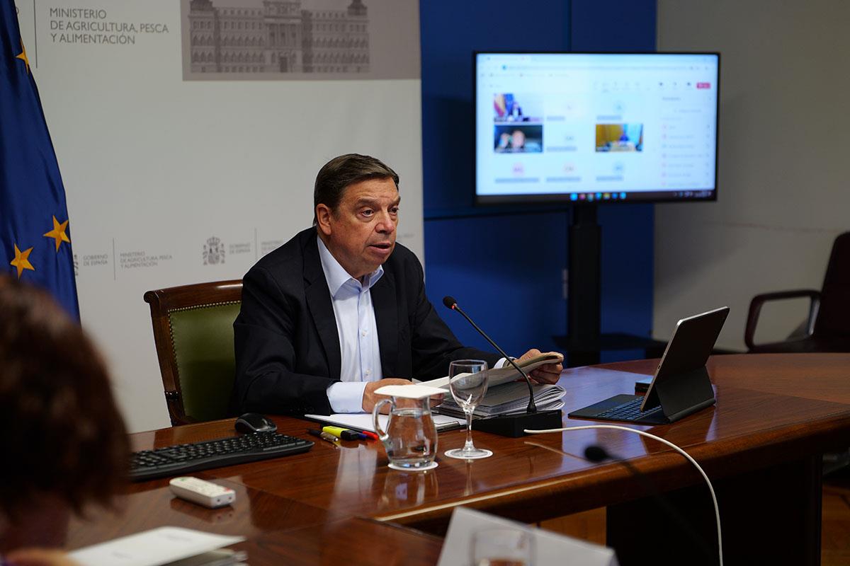 El ministro Luis Planas durante su intervención