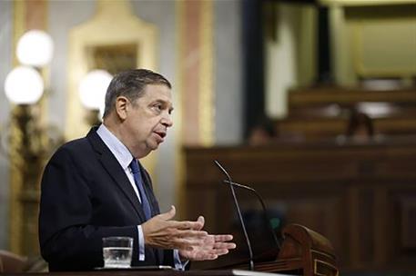 El ministro durante su intervención