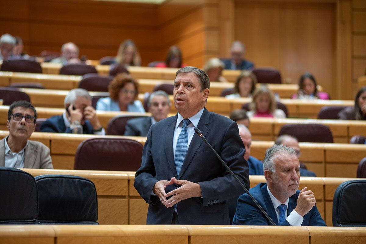El ministro de Agricultura, Pesca y Alimentación, Luis Planas, durante su intervención en el Senado.