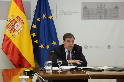 El ministro de Agricultura, Pesca y Alimentación, Luis Planas durante la reunión de los consejos consultivos de política agraria