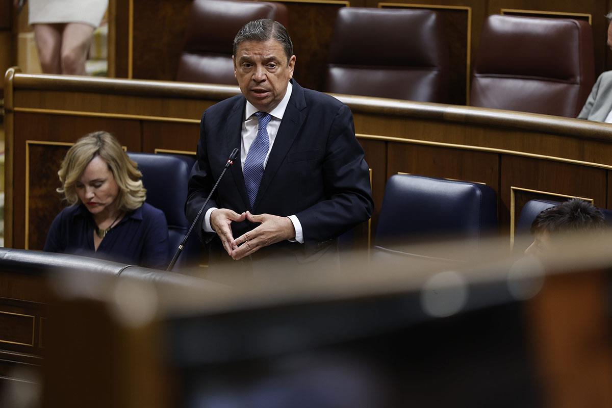 Intervención del ministro de Agricultura, Pesca y Alimentación, Luis Planas, en el Congreso de los Diputados.
