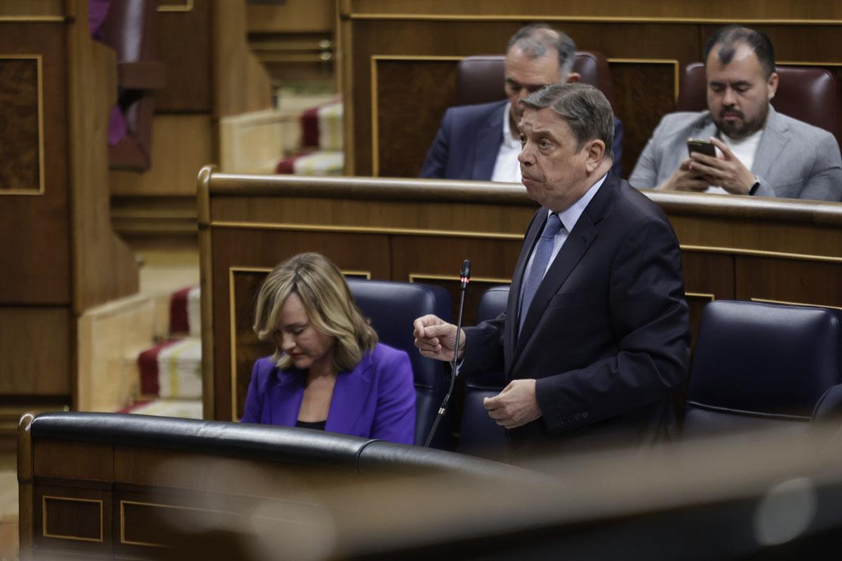 El ministro Planas durante la sesión de control al Gobierno en el Congreso