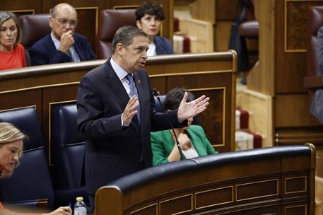 El ministro de Agricultura, Pesca y Alimentación, Luis Planas, en el Pleno del Congreso de los Diputados.