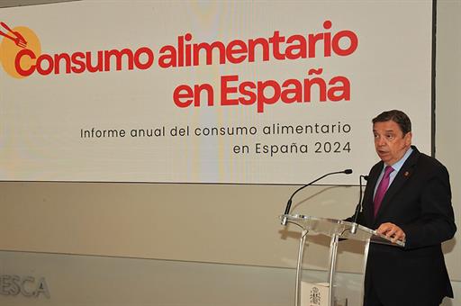 El ministro durante su intervención