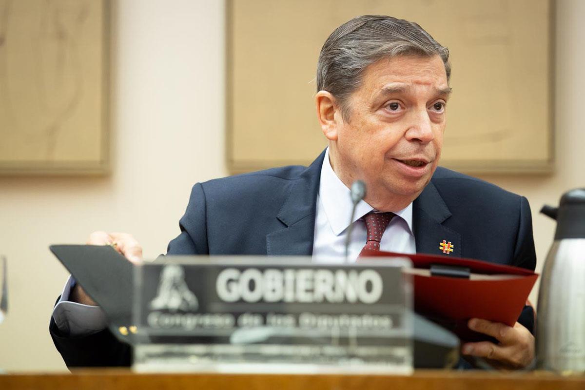 ​​El ministro de Agricultura, Pesca y Alimentación, Luis Planas, durante su comparecencia en el Congreso de los Diputados