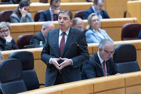 El ministro de Agricultura, Pesca y Alimentación, Luis Planas, en la sesión de control del Senado