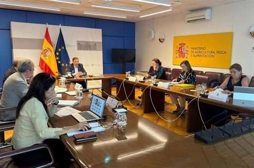 Intervención del ministro Luis Planas, durante la Conferencia Sectorial de Agricultura.