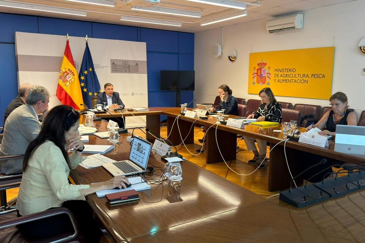 Intervención del ministro Luis Planas, durante la Conferencia Sectorial de Agricultura.