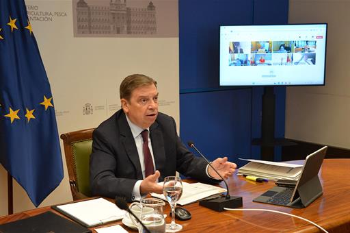 El ministro de Agricultura, Pesca y Alimentación, Luis Planas, durante su intervención por videoconferencia