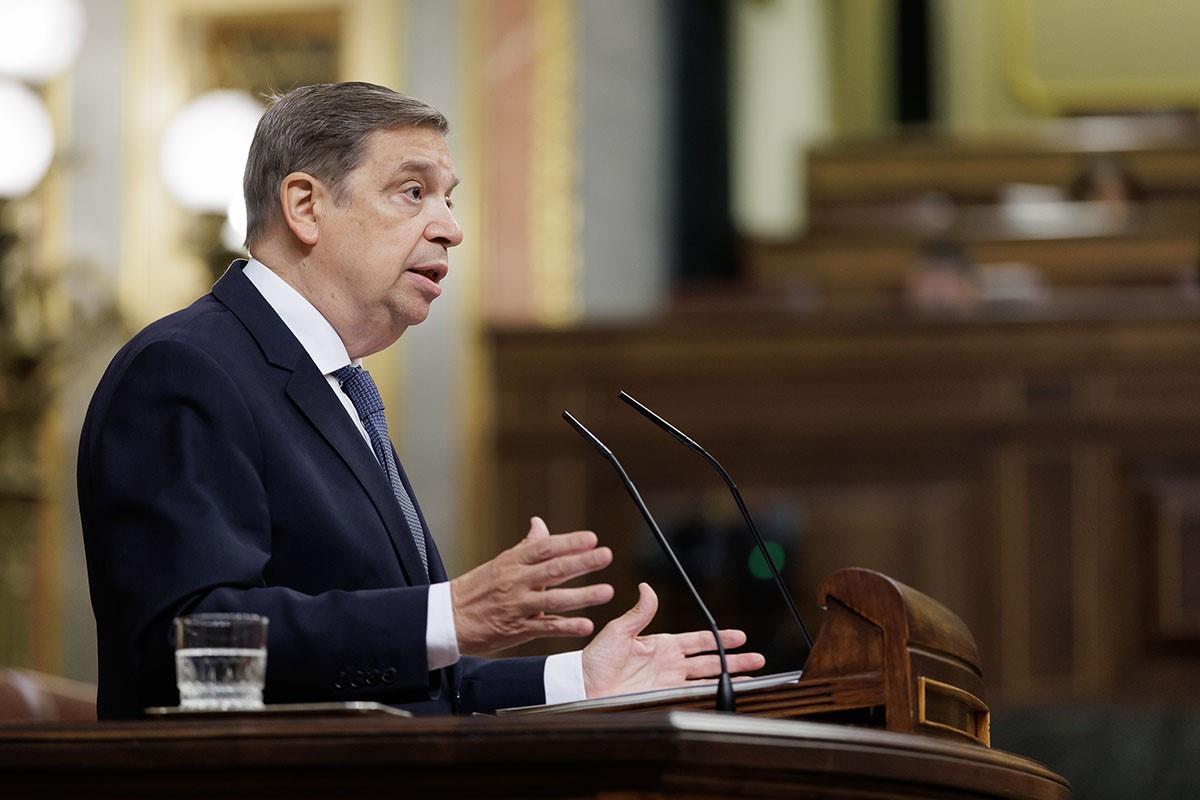 El ministro de Agricultura, Pesca y Alimentación durante su intervención en el Congreso