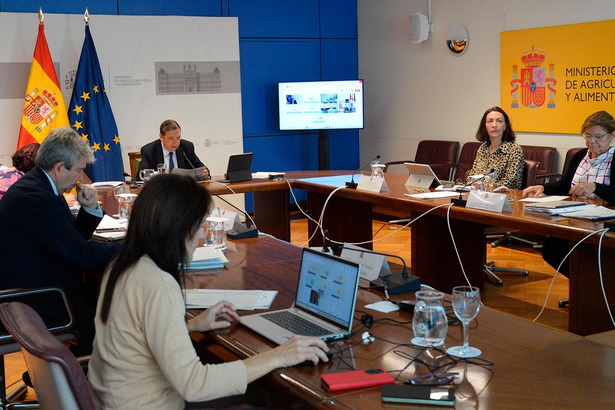El ministro de Agricultura, Pesca y Alimentación, Luis Planas, en la Conferencia Sectorial de Agricultura