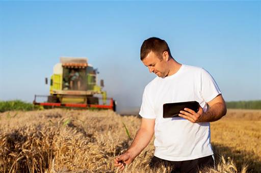 Agricultor en un campo de cereales