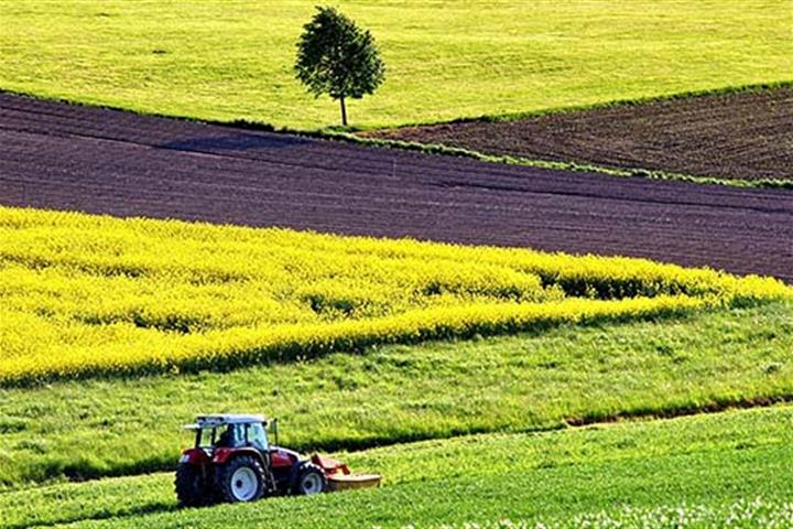 Tractor labrando el campo