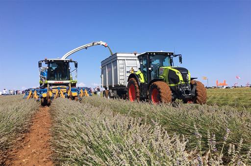 Maquinaria en cultivo de lavanda.