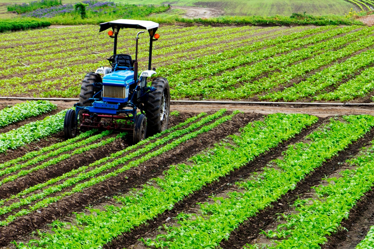 PAC: Tractor labrando el campo