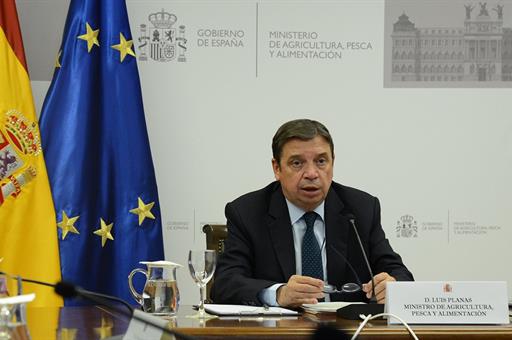 El ministro Luis Planas, durante la videoconferencia