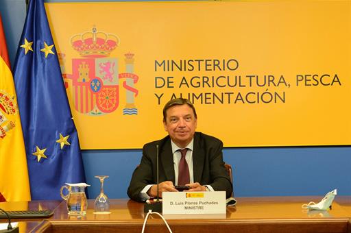 El ministro de Agricultura, Pesca y Alimentación, Luis Planas, durante la videoconferencia