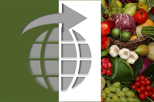 Portada informes de exportaciones con foto de frutas y hortalizas