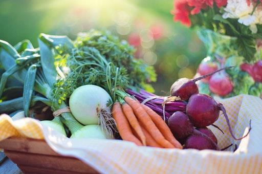 Verduras y hortalizas (Foto: Archivo)