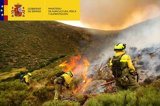 Efectivos trabajando en la extinción de un incendio forestal