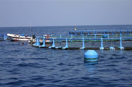 Acuicultura
